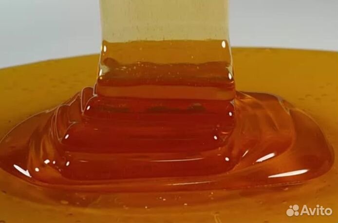 Мёд натуральный из Алтая опт. от 16 кг