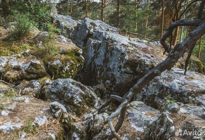 Рачейский бор и водопад на реке Крымза. 26 мая