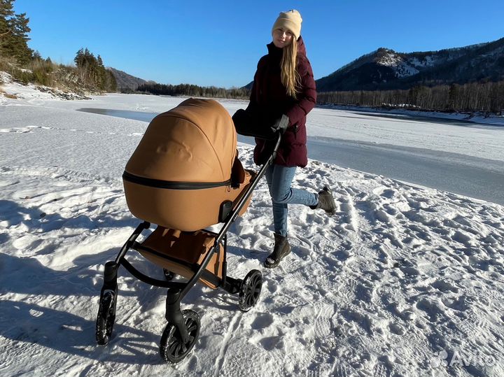 Коляска anex e type 2 в 1