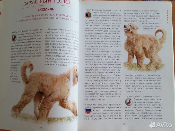 Книги для детей