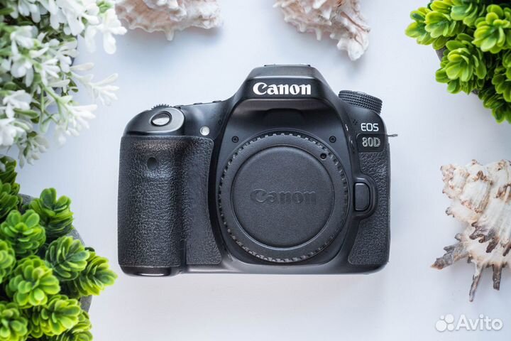 Canon 80d body