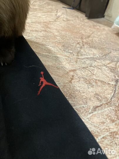 Штаны Jordan (type balenciaga)