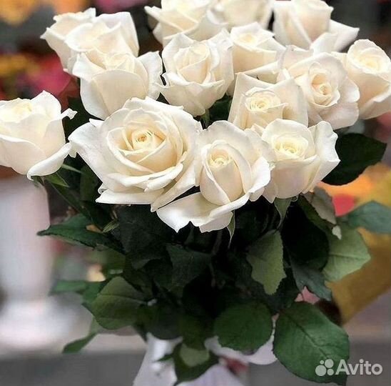 51 Роза, Букеты Цветы Розы 25 101 501 1001