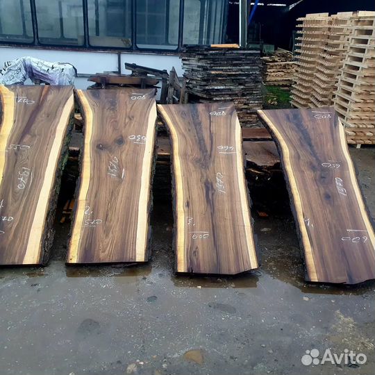 Слебы чёрного ореха