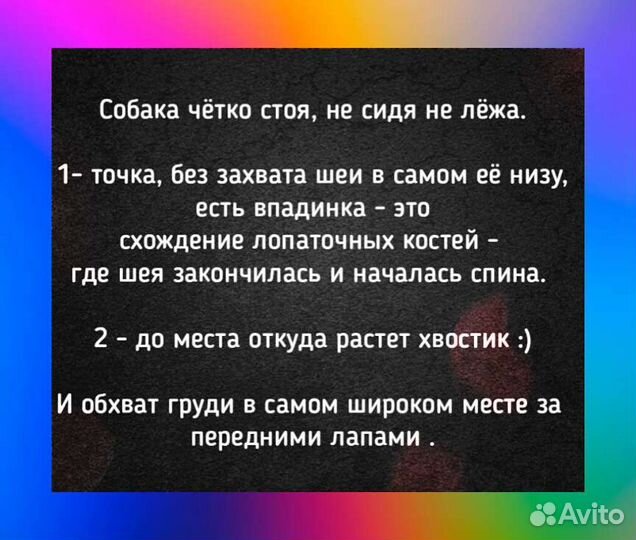 Одежда для собак на все сезоны и пыльники
