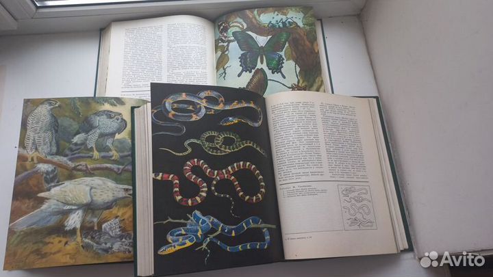 Энциклопедия Жизнь животных в 6 томах 7 книгах