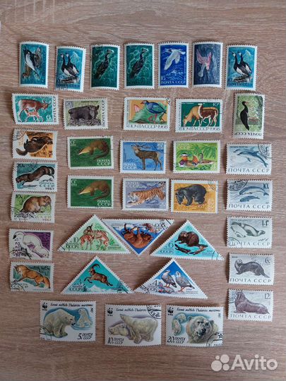 Марки СССР флора и фауна