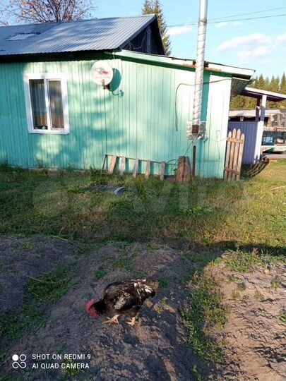 3-к. квартира, 49,8 м², 1/1 эт.