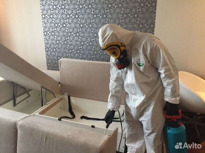 Уничтожение Тараканов Клопов Блох Ос Муравьев Клещ