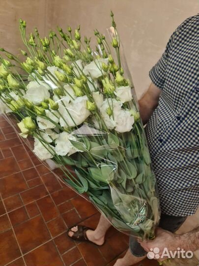 Эустома в наличии