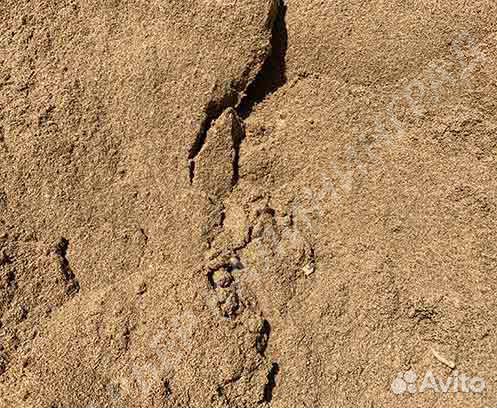 Песок без посредников от 5 тонн