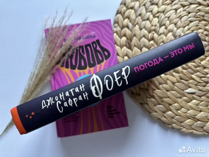 Фоер. Погода - это мы. Д. Сафран