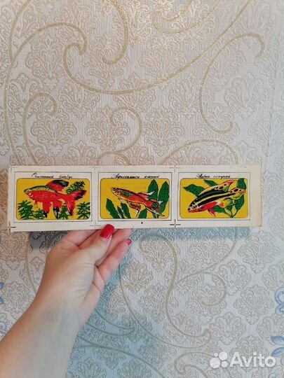 Переводилки