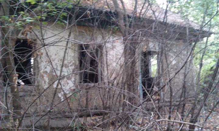 Участок 51 сот. (ИЖС)