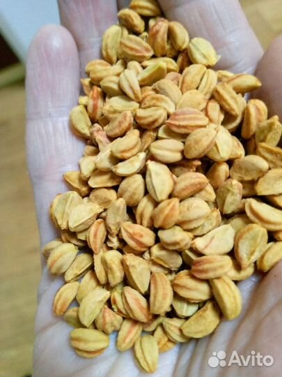 Семена боярышника Арнольда