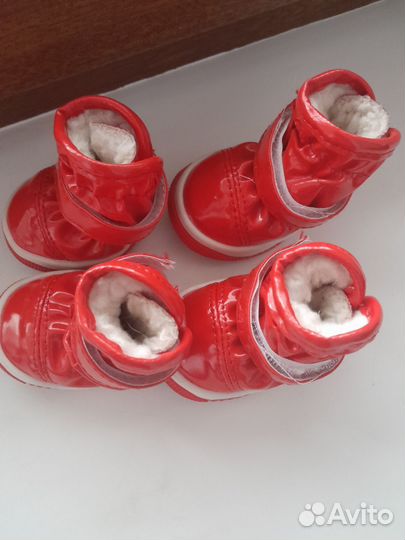 Ботинки для собаки