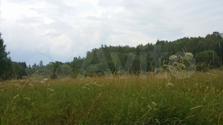 Участок 2,3 га (СНТ, ДНП)