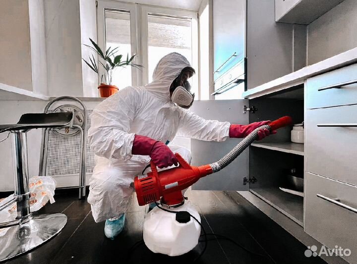 Уничтожение тараканов, клопов, плесени/Дезинфекция