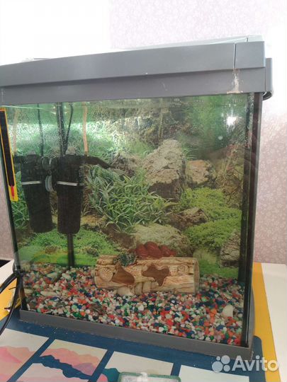 Аквариум