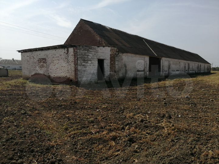 Молочная ферма 90голов