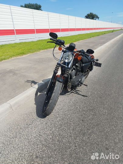 Harley Davidson Sportster iron 883