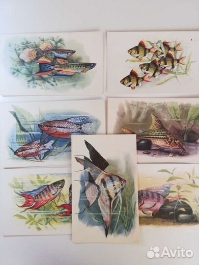 Открытки СССР