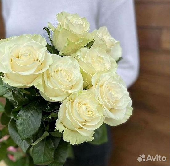 Высокие Розы с Доставкой