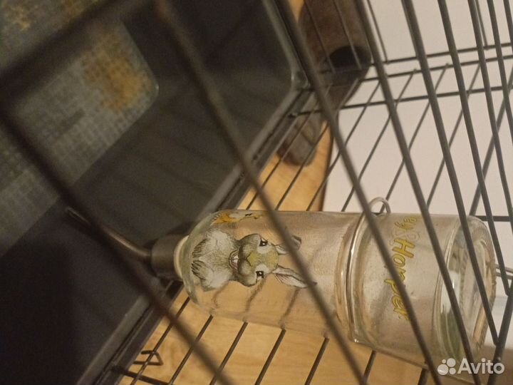 Клетка для грызунов бу