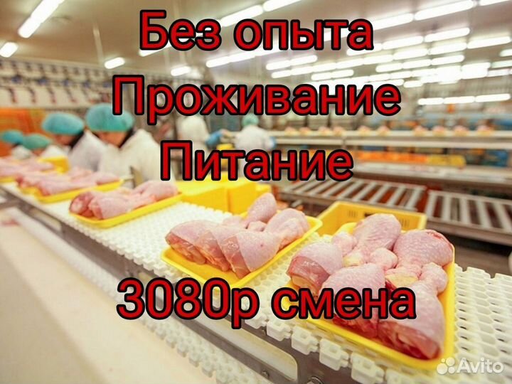 Упаковщик вахта Белгород еда жилье без опыта