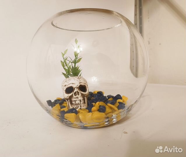 Аквариум / террариум круглый 5 литров