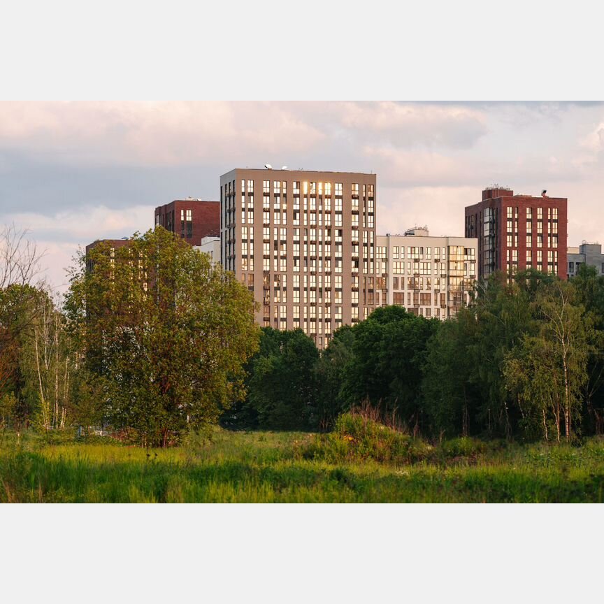 4-к. квартира, 78,1 м², 11/17 эт.