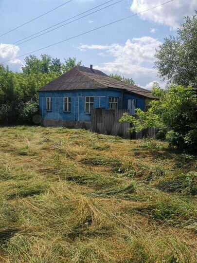 Дом 60 м² на участке 50 сот.