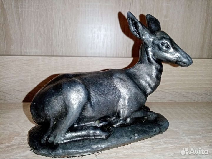 Олень, лань