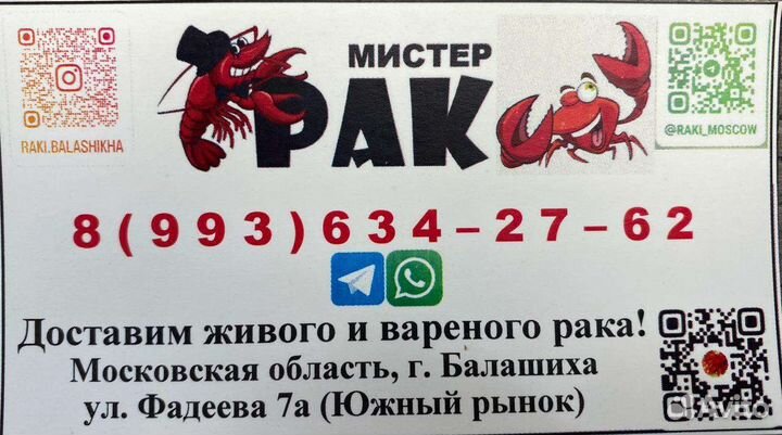 Раки живые и вареные (розница / опт )