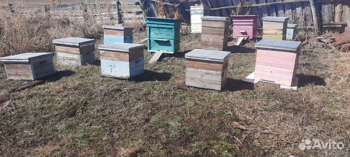 Улей для пчел