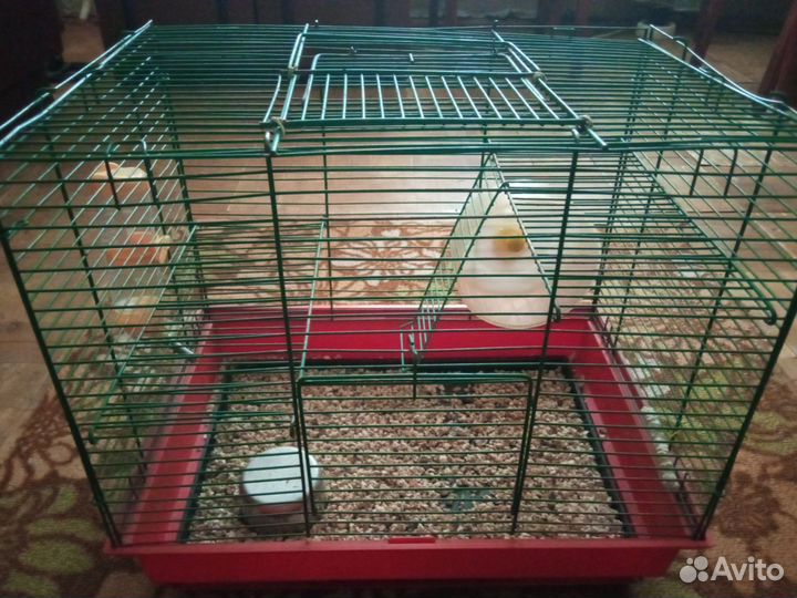 Клетка для крыс