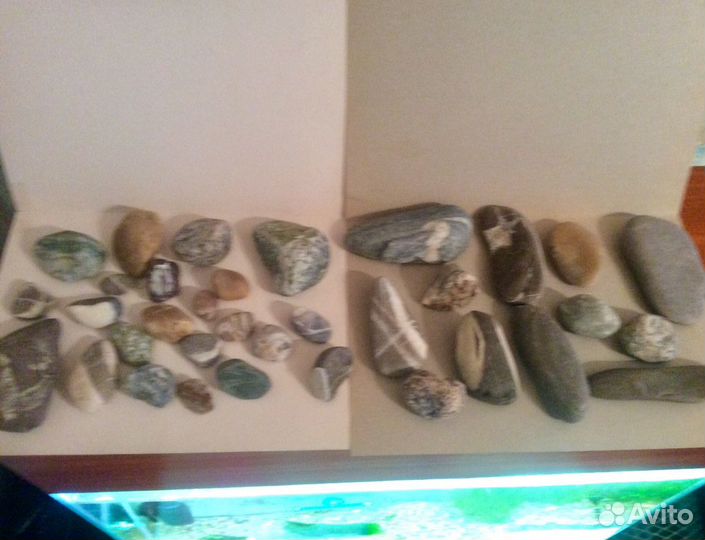 Морские камни