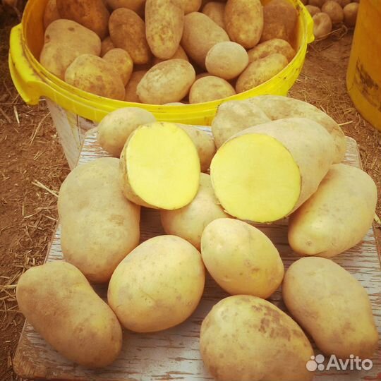 Домашний картофель с доставкой