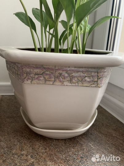 Цветочные горшки керамика 6 л