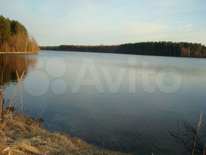 Участок 10 сот. (ИЖС)