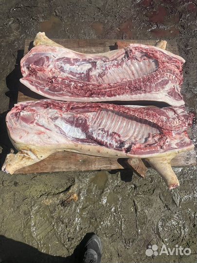 Свинина домашняя