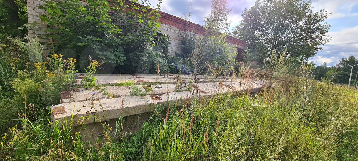 Свободного назначения, 365.5 м²