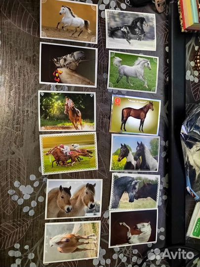 Наклейки panini