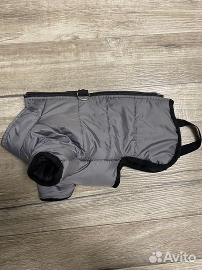 Одежда для собак