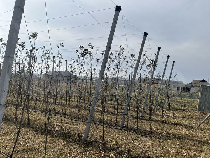 Участок 15 сот. (ИЖС)