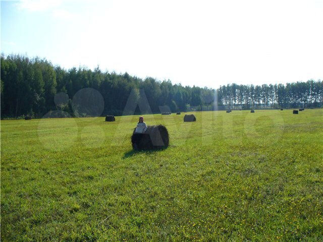 Участок 3,35 га (СНТ, ДНП)