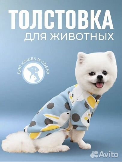 Толстовка/худи/свитер/кофта/ для кошек и собак