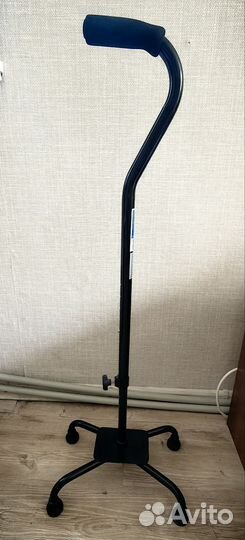 Бадик трость