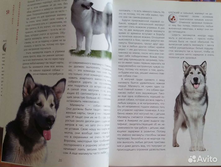 Книги для детей