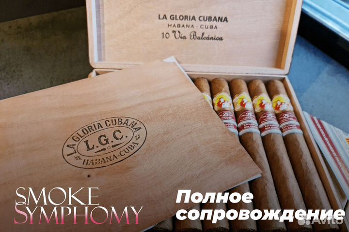 Smoke Symphony: Аккорды табачного богатства